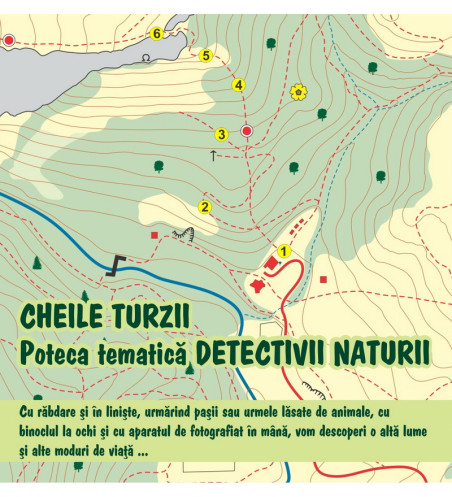 Poteca tematica Detectivii naturii - Cheile Turzii