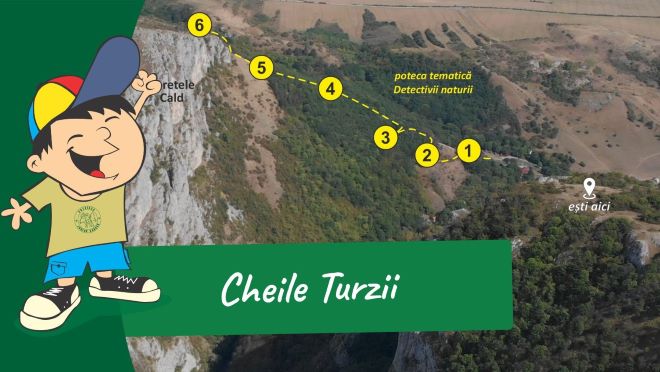 cover-JRweb-cheileturzii-v2-660