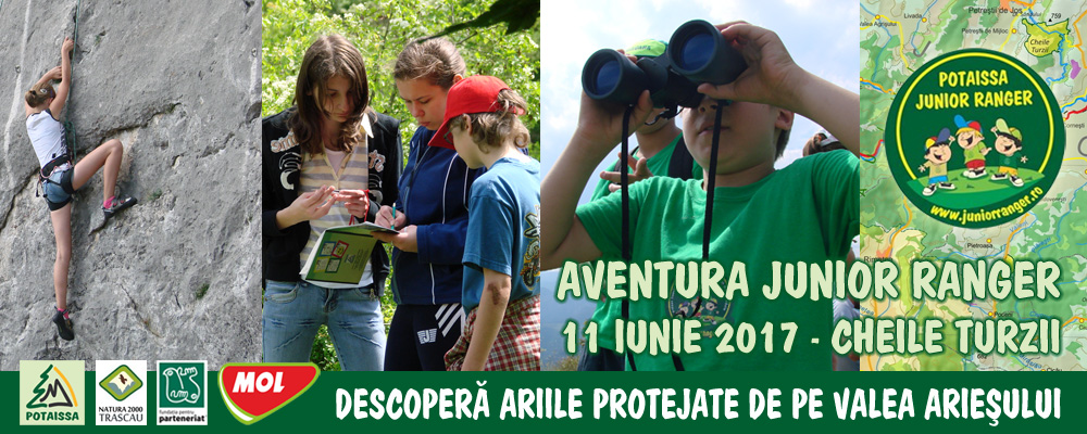 header_web_aventurajr2017_v2