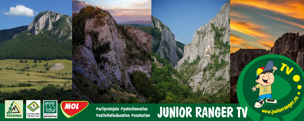 header_web_juniorranger2018