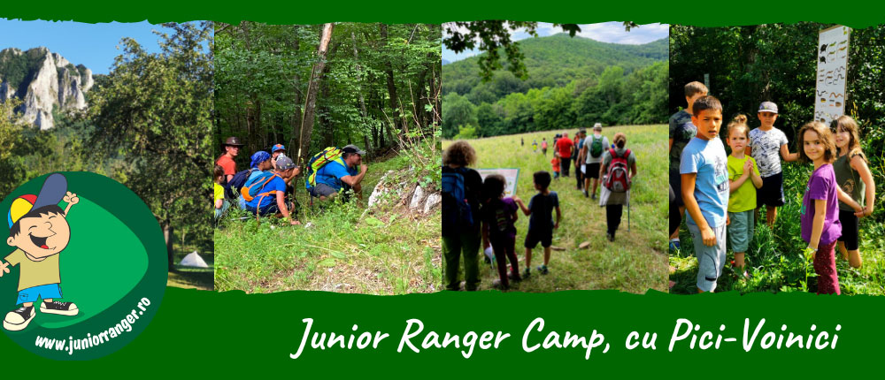 2022-JrCamp-Pici-01