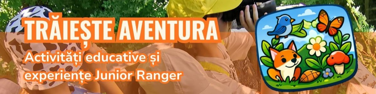 banner-02-1200x300