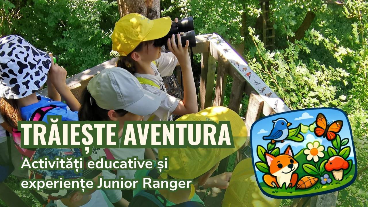 c1-aventura-03-resize