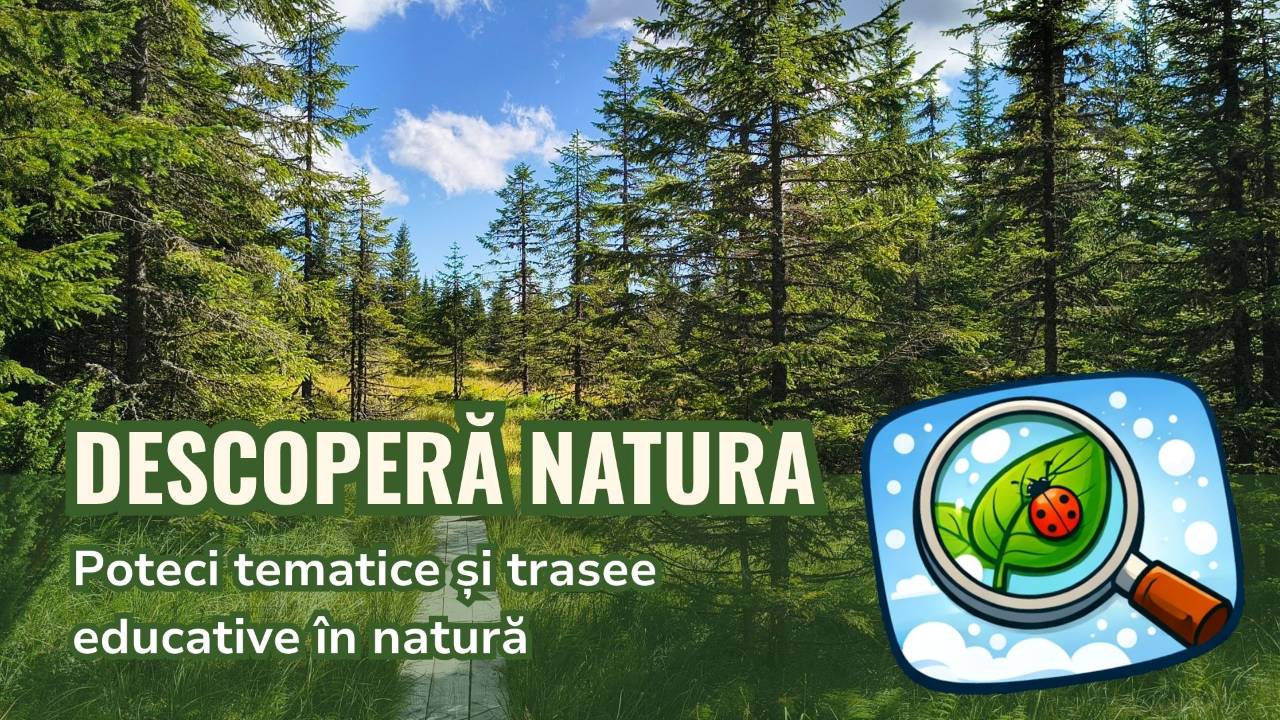 c1-natura-03-resize