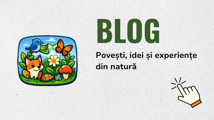 c2-blog-resize