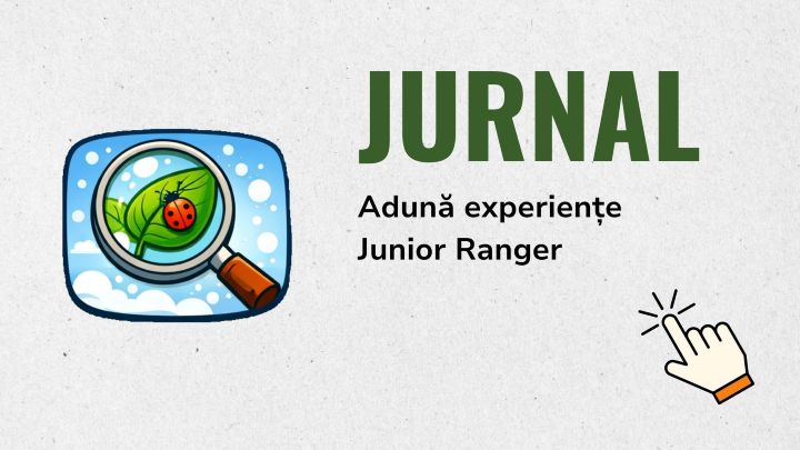 c2-jurnal-resize